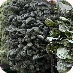 Sukuma wiki
