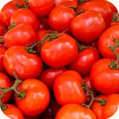 Tomatoes