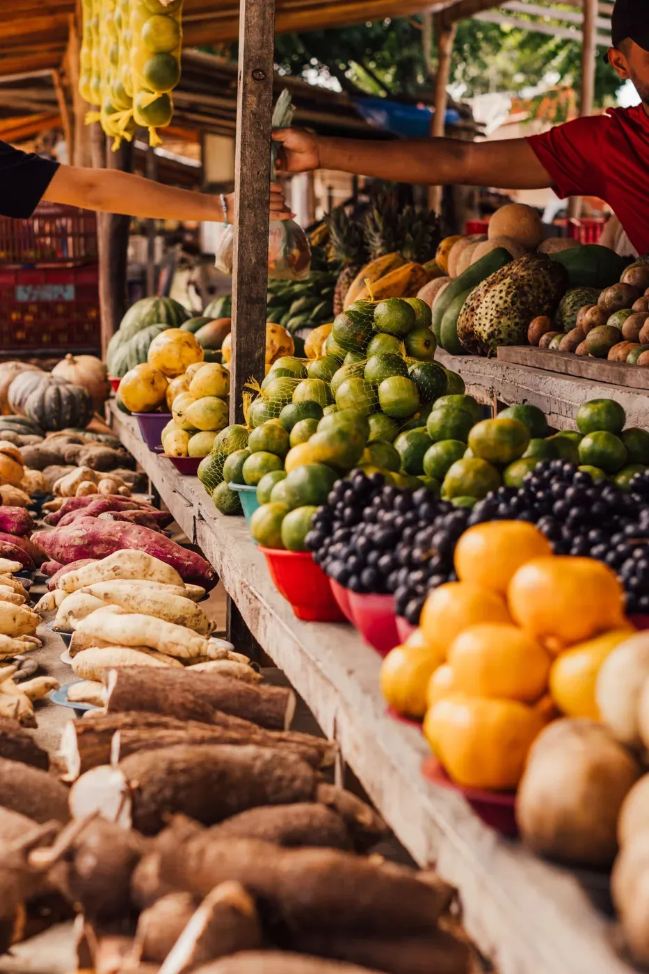 A fruit and vegetable stall